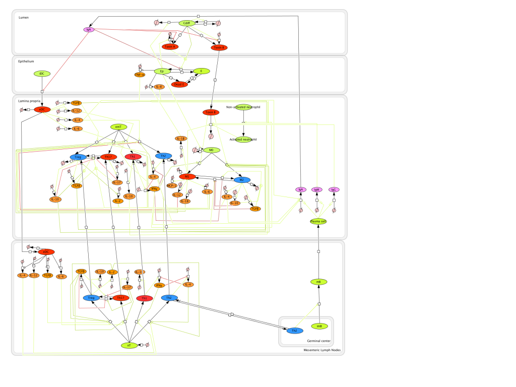 CDiff Model