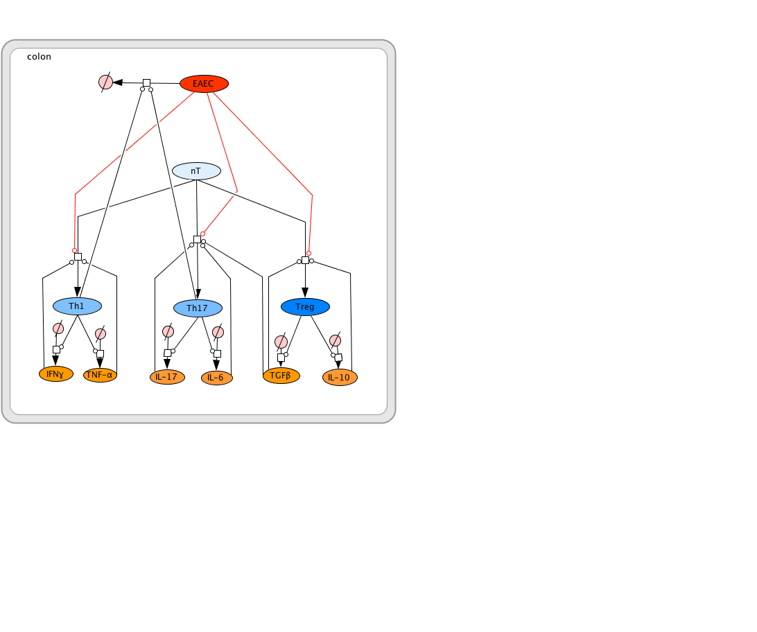 EAEC T Cell Differentiation Model