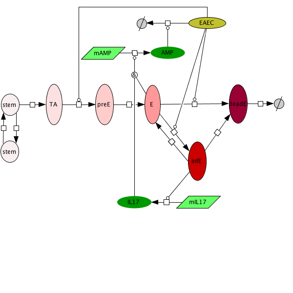 EAEC Epithelial Cell Model